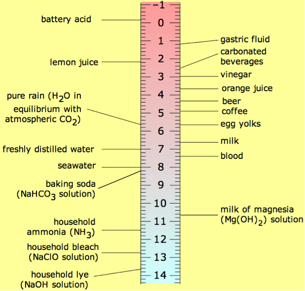 Anatomy of a Tooth Chart